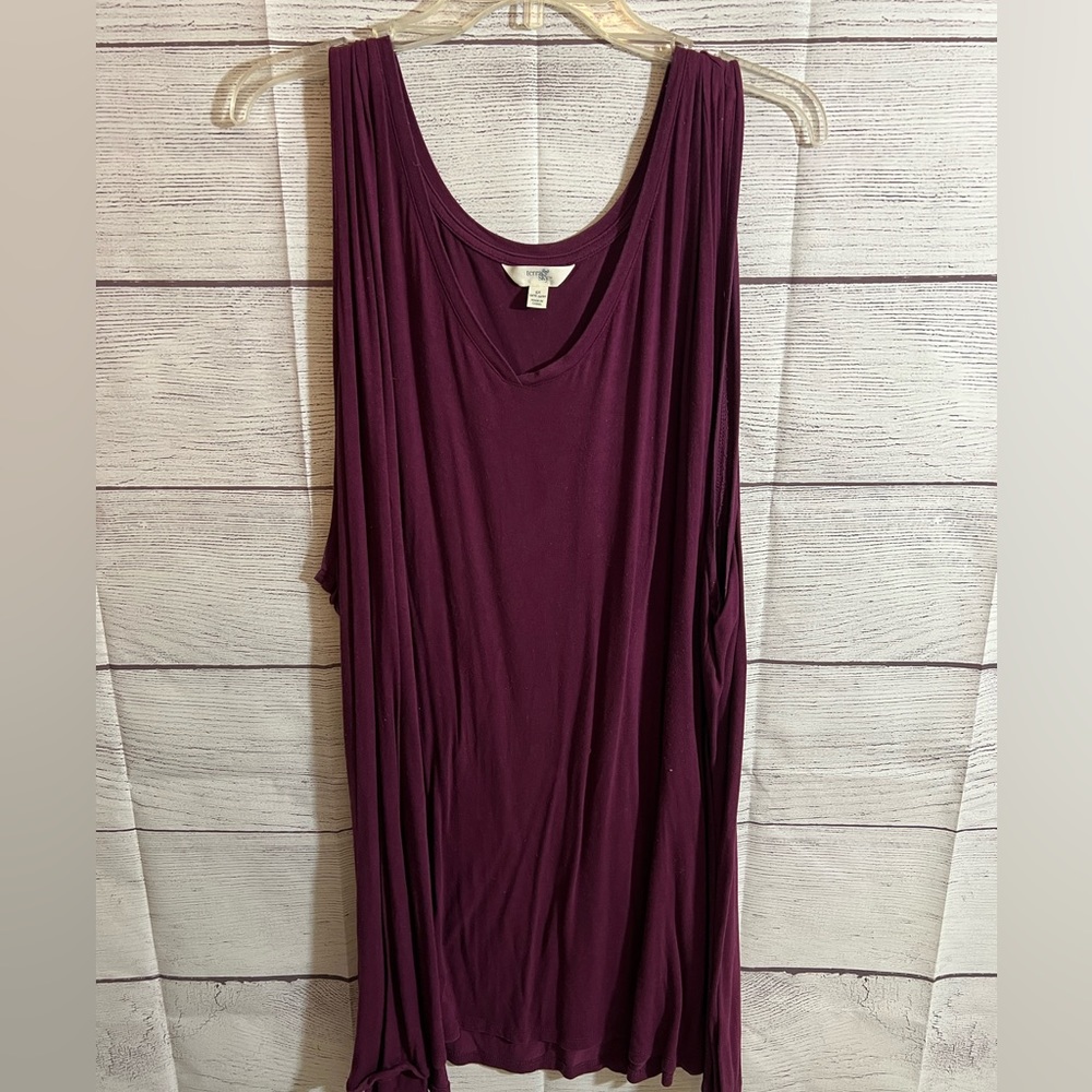 Terra & Sky Tunic Tank